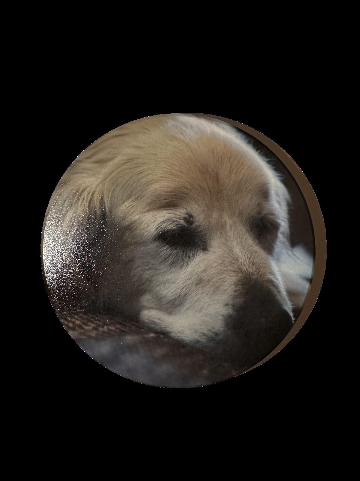 Custom Leroy coaster